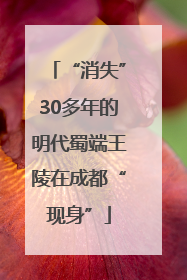 “消失”30多年的明代蜀端王陵在成都“现身”
