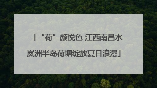 “荷”颜悦色 江西南昌水岚洲半岛荷塘绽放夏日浪漫