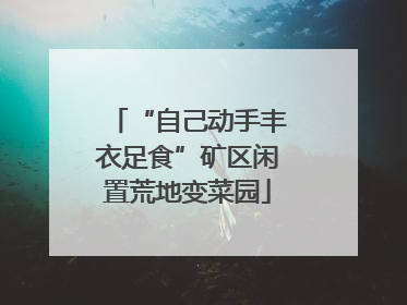 “自己动手丰衣足食”矿区闲置荒地变菜园