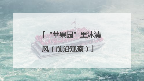 “苹果园”里沐清风（前沿观察）