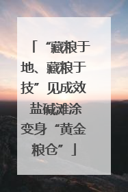 “藏粮于地、藏粮于技”见成效 盐碱滩涂变身“黄金粮仓”