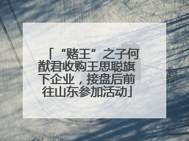 “赌王”之子何猷君收购王思聪旗下企业，接盘后前往山东参加活动