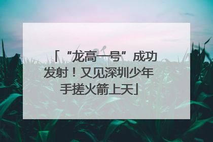 “龙高一号”成功发射！又见深圳少年手搓火箭上天