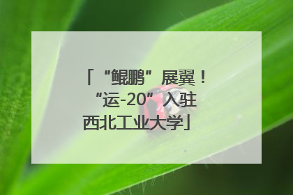 “鲲鹏”展翼！“运-20”入驻西北工业大学