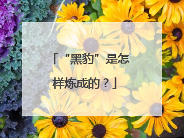 “黑豹”是怎样炼成的？