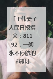 王伟妻子人民日报撰文：81192，一架永不停航的战机
