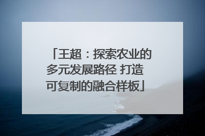 王超：探索农业的多元发展路径 打造可复制的融合样板