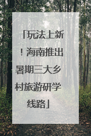 玩法上新！海南推出暑期三大乡村旅游研学线路