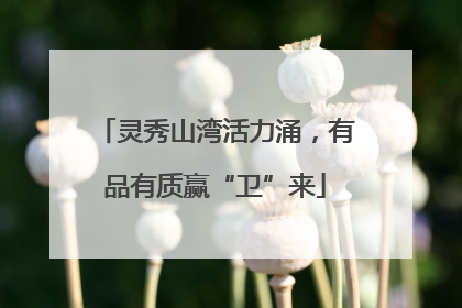 灵秀山湾活力涌，有品有质赢“卫”来