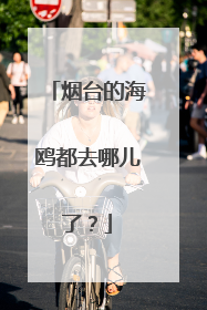 烟台的海鸥都去哪儿了？