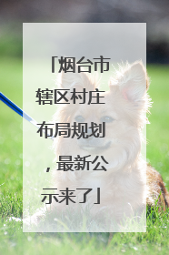 烟台市辖区村庄布局规划，最新公示来了