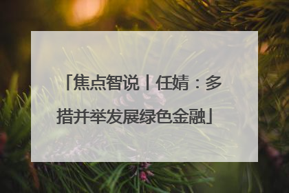 焦点智说丨任婧：多措并举发展绿色金融
