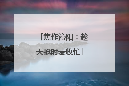 焦作沁阳：趁天抢时麦收忙