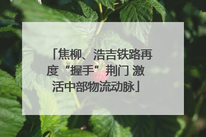 焦柳、浩吉铁路再度“握手”荆门 激活中部物流动脉