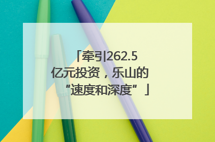 牵引262.5亿元投资，乐山的“速度和深度”