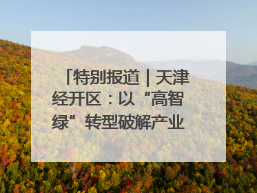 特别报道｜天津经开区：以“高智绿”转型破解产业升级压力