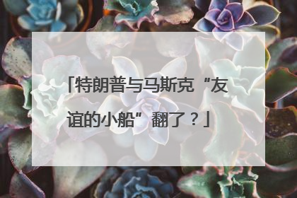 特朗普与马斯克“友谊的小船”翻了？