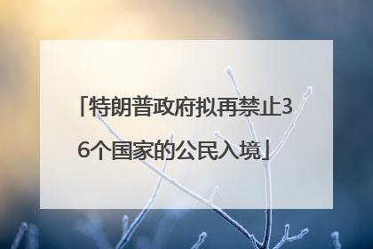 特朗普政府拟再禁止36个国家的公民入境