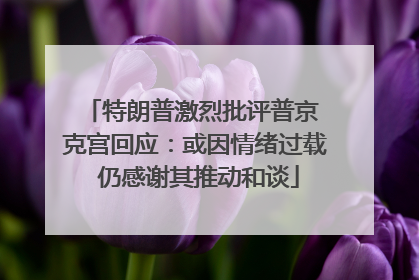 特朗普激烈批评普京 克宫回应：或因情绪过载 仍感谢其推动和谈