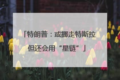 特朗普：或挪走特斯拉 但还会用“星链”