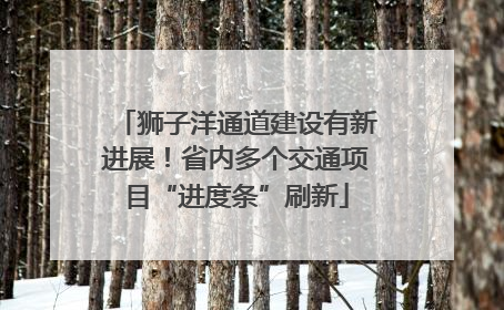 狮子洋通道建设有新进展！省内多个交通项目“进度条”刷新
