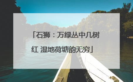 石狮：万绿丛中几树红 湿地荷塘韵无穷
