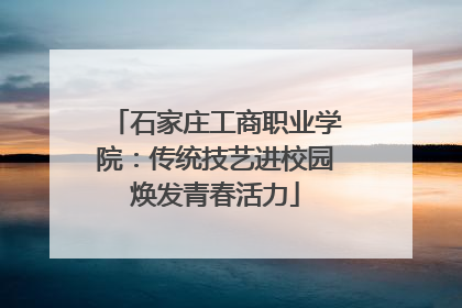 石家庄工商职业学院：传统技艺进校园焕发青春活力