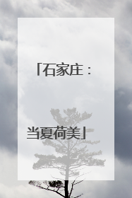石家庄：当夏荷美