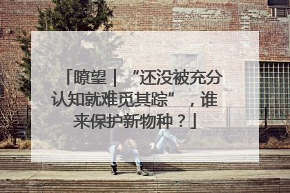 瞭望｜“还没被充分认知就难觅其踪”，谁来保护新物种？