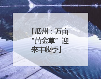 瓜州：万亩“黄金草”迎来丰收季