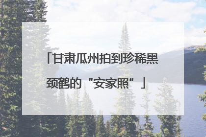 甘肃瓜州拍到珍稀黑颈鹤的“安家照”