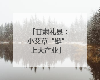 甘肃礼县：小艾草“链”上大产业