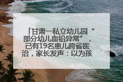 甘肃一私立幼儿园“部分幼儿血铅异常”，已有19名患儿跨省医治，家长发声：以为孩子出问题，没想过会与学校有关