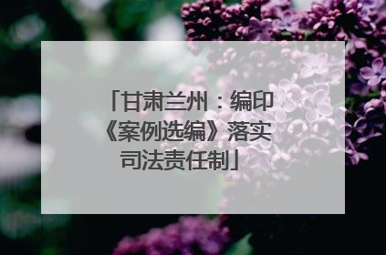 甘肃兰州：编印《案例选编》落实司法责任制