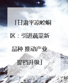 甘肃平凉崆峒区：引进蔬菜新品种 推动产业提档升级