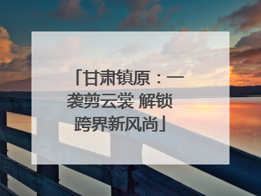 甘肃镇原：一袭剪云裳 解锁跨界新风尚