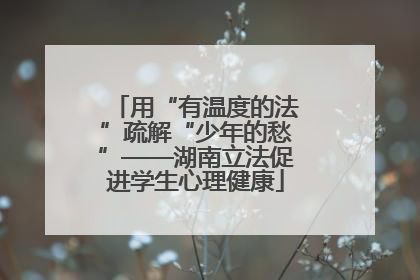 用“有温度的法”疏解“少年的愁”——湖南立法促进学生心理健康