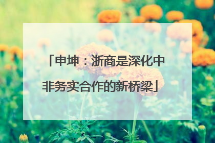 申坤：浙商是深化中非务实合作的新桥梁