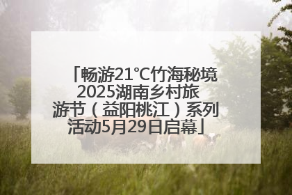 畅游21℃竹海秘境 2025湖南乡村旅游节（益阳桃江）系列活动5月29日启幕
