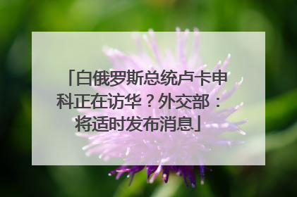 白俄罗斯总统卢卡申科正在访华？外交部：将适时发布消息