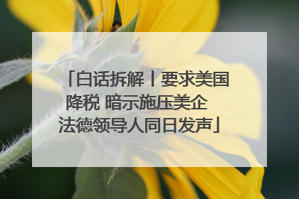 白话拆解丨要求美国降税 暗示施压美企 法德领导人同日发声