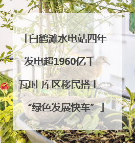 白鹤滩水电站四年发电超1960亿千瓦时 库区移民搭上“绿色发展快车”