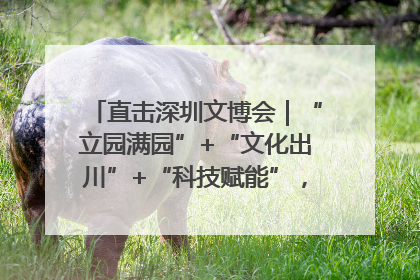 直击深圳文博会｜“立园满园”+“文化出川”+“科技赋能”，成都传媒发布三大文创领域合作清单