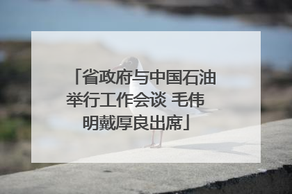 省政府与中国石油举行工作会谈 毛伟明戴厚良出席