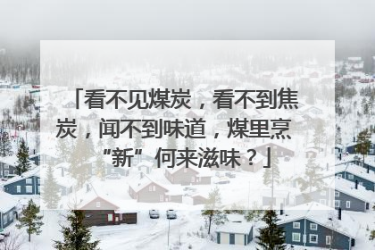 看不见煤炭，看不到焦炭，闻不到味道，煤里烹“新”何来滋味？