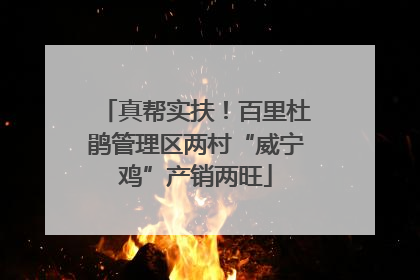 真帮实扶！百里杜鹃管理区两村“威宁鸡”产销两旺