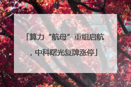 算力“航母”重组启航，中科曙光复牌涨停