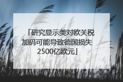 研究显示美对欧关税加码可能导致德国损失2500亿欧元