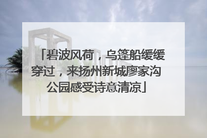 碧波风荷，乌篷船缓缓穿过，来扬州新城廖家沟公园感受诗意清凉