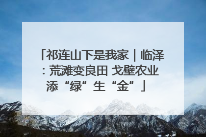 祁连山下是我家｜临泽：荒滩变良田 戈壁农业添“绿”生“金”